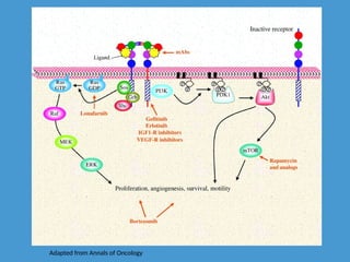 Adapted from Annals of Oncology
 