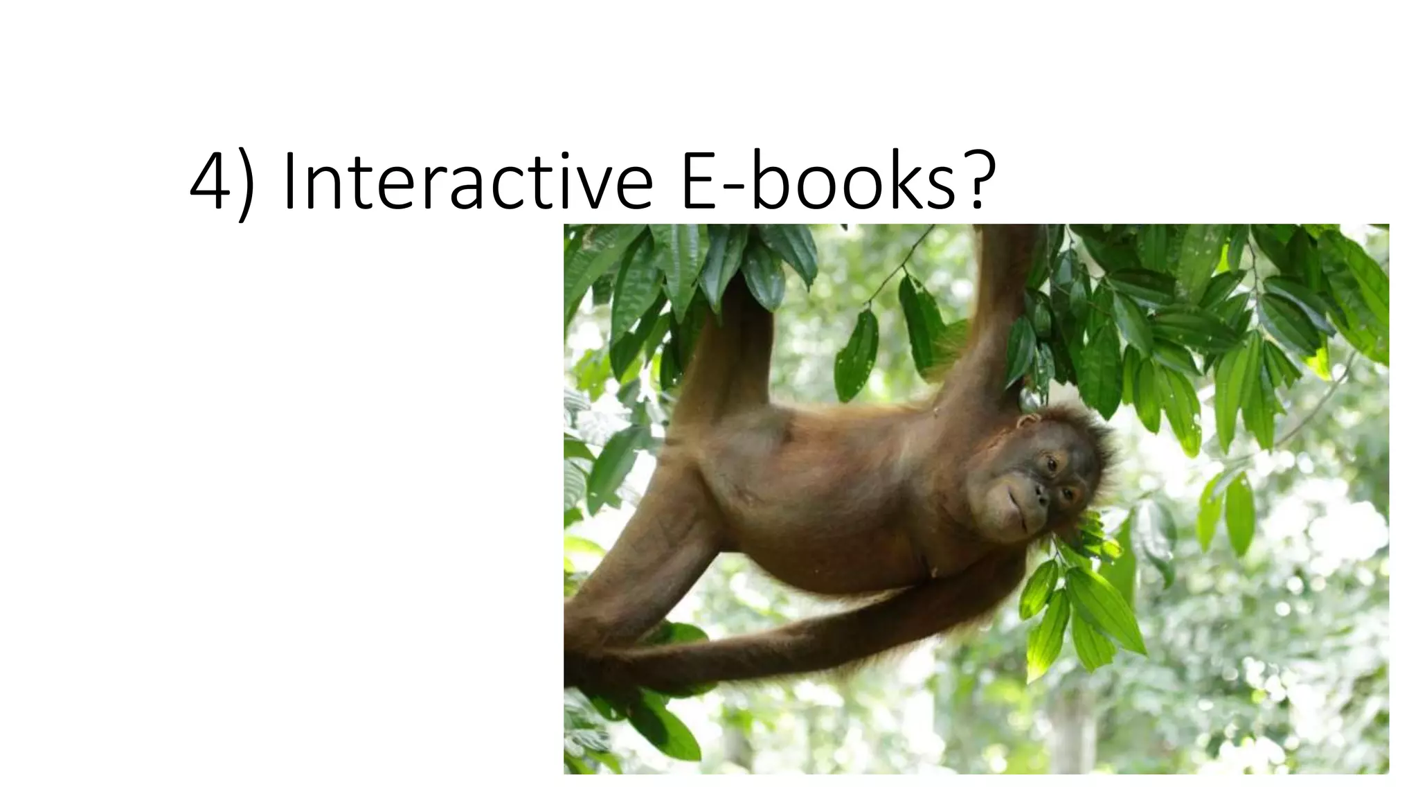 4) Interactive E-books?
 