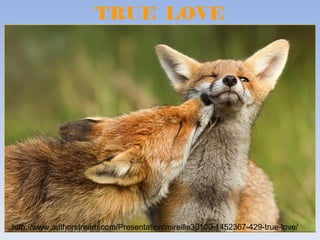 TRUE LOVE




http://www.authorstream.com/Presentation/mireille30100-1452367-429-true-love/
 