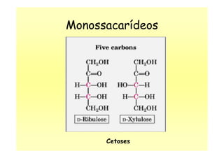 Monossacarídeos
Cetoses
 