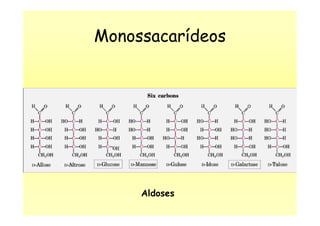 Monossacarídeos
Aldoses
 