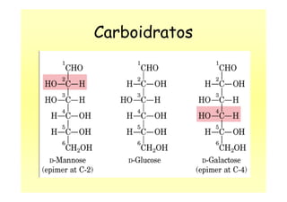 Carboidratos
 