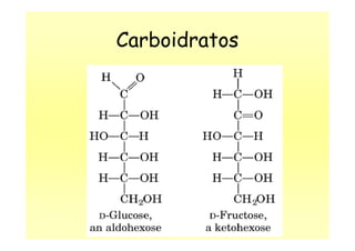 Carboidratos
 