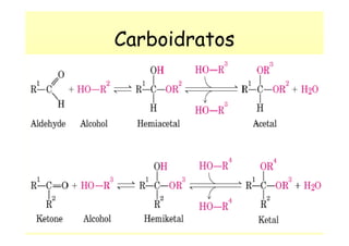 Carboidratos
 