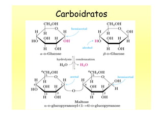 Carboidratos
 