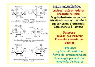 DISSACARÍDEOS
Lactose: açúcar redutor
presente no leite
D-galactosidase ou lactase
intestinal: comum a ausência
em africanos e orientais:
Intolerância à lactose
Sacarose:Sacarose:
açúcar não redutor
Formado somente por
plantas
Trealose:
açúcar não redutor
Fonte de armazenamento
de energia presente na
hemolinfa de insetos
 
