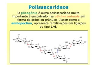 Polissacarídeos
O glicogênio é outro polissacarídeo muito
importante é encontrado nas células animais em
forma de grãos ou grânulos. Assim como a
amilopectina, apresenta ramificações em ligações
do tipo 1-6.
O
HO
OH
OHH
OH
O
HO
O
OHH
OH
O
OH
HO
HO
O
H
OH
O
OH
HO H
OH
O
OH
O
HO
O
H
OH
O
OH
HO
OH
H
O
 