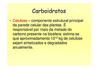 Carboidratos
• Celulose – componente estrutural principal
da parede celular das plantas. É
responsável por mais da metade do
carbono presente na biosfera: estima-secarbono presente na biosfera: estima-se
que aproximadamente 1015 kg de celulose
sejam sintetizados e degradados
anualmente.
 