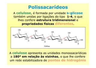 Polissacarídeos
A celulose, é formada por unidade b-glicose
também unidas por ligações do tipo 1-4, o que
lhes confere estrutura tridimensional e
propriedades físicas diferentes.
O
OH
O
OH
OH
OH
A celulose apresenta as unidades monossacarídicas
a 180° em relação às vizinhas, o que lhe confere
um rede estabilizadora de pontes de hidrogênio
O
OH
HO
HO
H
O
OH
O
HO
H
O
OH
O
HO
H
O
OH
O
HO
H
OH
CeluloseCeluloseCeluloseCelulose
 
