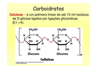Carboidratos
Celulose – é um polímero linear de até 15 mil resíduos
de D-glicose ligados por ligações glicosídicas
β(1→4).
 
