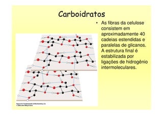 Carboidratos
• As fibras da celulose
consistem em
aproximadamente 40
cadeias estendidas e
paralelas de glicanos.
A estrutura final é
estabilizada porestabilizada por
ligações de hidrogênio
intermoleculares.
 