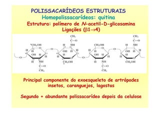 POLISSACARÍDEOS ESTRUTURAIS
Homopolissacarídeos: quitina
Estrutura: polímero de N-acetil-D-glicosamina
Ligações (ββββ1→→→→4)
Principal componente do exoesqueleto de artrópodes
insetos, caranguejos, lagostas
Segundo + abundante polissacarídeo depois da celulose
 