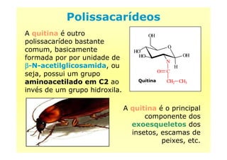 Polissacarídeos
A quitina é outro
polissacarídeo bastante
comum, basicamente
formada por por unidade de
ββββ-N-acetilglicosamida, ou
seja, possui um grupo
aminoacetilado em C2 ao
O
N
HO
HO
H
OH
CO
CH CH
OH
Quitinaaminoacetilado em C2 ao
invés de um grupo hidroxila.
A quitina é o principal
componente dos
exoesqueletos dos
insetos, escamas de
peixes, etc.
CH2 CH3Quitina
 