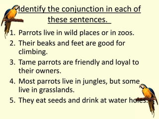 Identify the conjunction in each of
these sentences.
1. Parrots live in wild places or in zoos.
2. Their beaks and feet are good for
climbing.
3. Tame parrots are friendly and loyal to
their owners.
4. Most parrots live in jungles, but some
live in grasslands.
5. They eat seeds and drink at water holes.
 