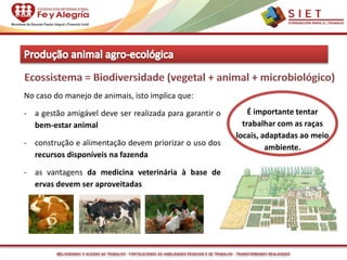 MELHORANDO O ACESSO AO TRABALHO - FORTALECENDO AS HABILIDADES PESSOAIS E DE TRABALHO - TRANSFORMANDO REALIDADES
No caso do manejo de animais, isto implica que:
- a gestão amigável deve ser realizada para garantir o
bem-estar animal
- construção e alimentação devem priorizar o uso dos
recursos disponíveis na fazenda
- as vantagens da medicina veterinária à base de
ervas devem ser aproveitadas
É importante tentar
trabalhar com as raças
locais, adaptadas ao meio
ambiente.
 
