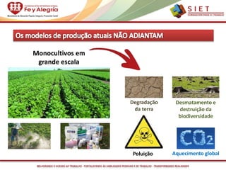 MELHORANDO O ACESSO AO TRABALHO - FORTALECENDO AS HABILIDADES PESSOAIS E DE TRABALHO - TRANSFORMANDO REALIDADES
Aquecimento global
Desmatamento e
destruição da
biodiversidade
Poluição
Degradação
da terra
Monocultivos em
grande escala
 
