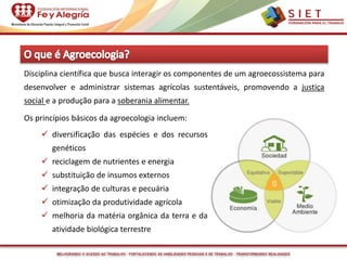 MELHORANDO O ACESSO AO TRABALHO - FORTALECENDO AS HABILIDADES PESSOAIS E DE TRABALHO - TRANSFORMANDO REALIDADES
Disciplina científica que busca interagir os componentes de um agroecossistema para
desenvolver e administrar sistemas agrícolas sustentáveis, promovendo a justiça
social e a produção para a soberania alimentar.
Os princípios básicos da agroecologia incluem:
 diversificação das espécies e dos recursos
genéticos
 reciclagem de nutrientes e energia
 substituição de insumos externos
 integração de culturas e pecuária
 otimização da produtividade agrícola
 melhoria da matéria orgânica da terra e da
atividade biológica terrestre
 