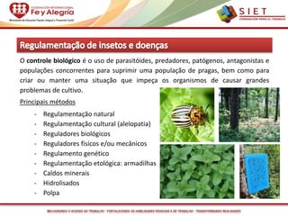 MELHORANDO O ACESSO AO TRABALHO - FORTALECENDO AS HABILIDADES PESSOAIS E DE TRABALHO - TRANSFORMANDO REALIDADES
O controle biológico é o uso de parasitóides, predadores, patógenos, antagonistas e
populações concorrentes para suprimir uma população de pragas, bem como para
criar ou manter uma situação que impeça os organismos de causar grandes
problemas de cultivo.
Principais métodos
- Regulamentação natural
- Regulamentação cultural (alelopatia)
- Reguladores biológicos
- Reguladores físicos e/ou mecânicos
- Regulamento genético
- Regulamentação etológica: armadilhas
- Caldos minerais
- Hidrolisados
- Polpa
 