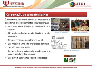 MELHORANDO O ACESSO AO TRABALHO - FORTALECENDO AS HABILIDADES PESSOAIS E DE TRABALHO - TRANSFORMANDO REALIDADES
É importante recuperar, conservar, multiplicar e
disseminar o uso de sementes crioulas porque:
• Tem sido desenvolvido e preservado por
séculos
• São mais resilientes e adaptáveis ao meio
ambiente
• Têm um componente cultural e social
• Eles mostram uma alta diversidade genética
• Eles são mais nutritivos
• Eles permitem a autonomia, a soberania e a
sustentabilidade das pessoas.
• Eles devem estar livres de comercialização
Banco de sementes Feiras/mercados locais
Métodos de conservação
 