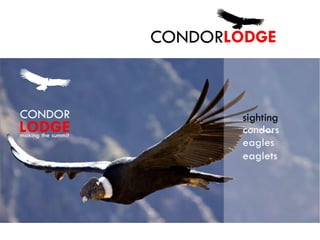 Condor Lodge english