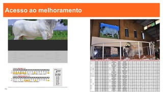 10
10
Acesso ao melhoramento
 