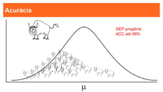 14
14
Acurácia
-
DEP progênie
ACC até 99%
-
-
-
--
-
-
-
-
-
-
--
- -
-
-
-
- -
-
 