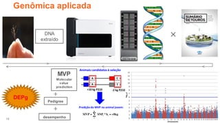 15
15
Genômica aplicada
DNA
extraído
MVP
Molecular
value
prediction
×
+
Pedigree
desempenho
DEPg
> > >>
+
 