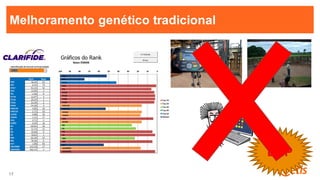 17
17
Melhoramento genético tradicional
DEP
 