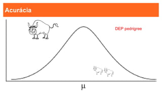 19
19
Acurácia
-
DEP pedrigree
-
 