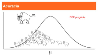 22
22
Acurácia
-
DEP progênie
-
-
-
--
-
-
-
-
-
-
--
- -
-
-
-
- -
-
 