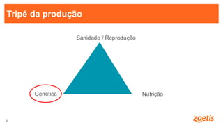 6
6
Tripé da produção
Sanidade
Genética Nutrição
/ Reprodução
 