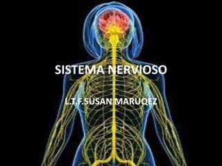 SISTEMA NERVIOSO
L.T.F.SUSAN MARUQEZ
 