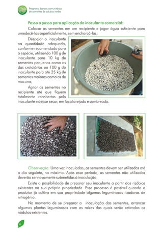 Manual de Adubos Verdes