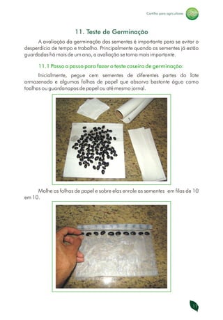 Manual de Adubos Verdes