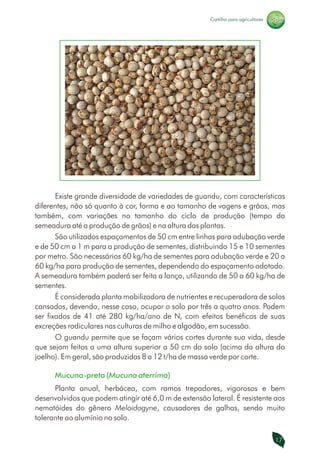 Manual de Adubos Verdes