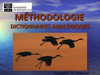 MÉTHODOLOGIEMÉTHODOLOGIE
DICTIONNAIRES ANALOGIQUESDICTIONNAIRES ANALOGIQUES
Professeur: Dr. Rafael del
 