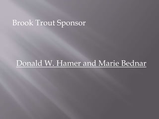 Brook Trout Sponsor
Donald W. Hamer and Marie Bednar
 