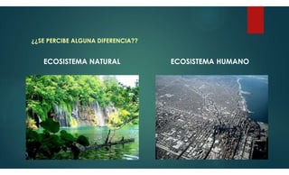 ECOSISTEMA HUMANO
ECOSISTEMA NATURAL
¿¿SE PERCIBE ALGUNA DIFERENCIA??
 