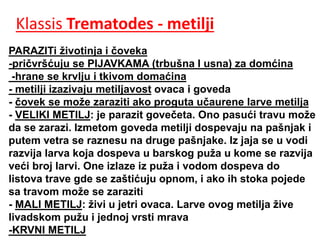 Klassis Trematodes - metilji
PARAZITi životinja i čoveka
-pričvršćuju se PIJAVKAMA (trbušna I usna) za domćina
-hrane se krvlju i tkivom domaćina
- metilji izazivaju metiljavost ovaca i goveda
- čovek se može zaraziti ako proguta učaurene larve metilja
- VELIKI METILJ: je parazit govečeta. Ono pasući travu može
da se zarazi. Izmetom goveda metilji dospevaju na pašnjak i
putem vetra se raznesu na druge pašnjake. Iz jaja se u vodi
razvija larva koja dospeva u barskog puža u kome se razvija
veći broj larvi. One izlaze iz puža i vodom dospeva do
listova trave gde se zaštićuju opnom, i ako ih stoka pojede
sa travom može se zaraziti
- MALI METILJ: živi u jetri ovaca. Larve ovog metilja žive
livadskom pužu i jednoj vrsti mrava
-KRVNI METILJ
 