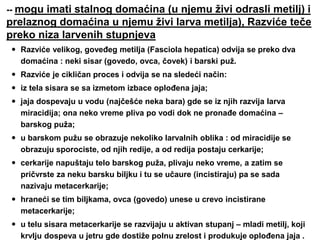 -- mogu imati stalnog domaćina (u njemu živi odrasli metilj) i
prelaznog domaćina u njemu živi larva metilja), Razviće teče
preko niza larvenih stupnjeva
 Razviće velikog, goveđeg metilja (Fasciola hepatica) odvija se preko dva
domaćina : neki sisar (govedo, ovca, čovek) i barski puž.
 Razviće je cikličan proces i odvija se na sledeći način:
 iz tela sisara se sa izmetom izbace oplođena jaja;
 jaja dospevaju u vodu (najčešće neka bara) gde se iz njih razvija larva
miracidija; ona neko vreme pliva po vodi dok ne pronađe domaćina –
barskog puža;
 u barskom pužu se obrazuje nekoliko larvalnih oblika : od miracidije se
obrazuju sporociste, od njih redije, a od redija postaju cerkarije;
 cerkarije napuštaju telo barskog puža, plivaju neko vreme, a zatim se
pričvrste za neku barsku biljku i tu se učaure (incistiraju) pa se sada
nazivaju metacerkarije;
 hraneći se tim biljkama, ovca (govedo) unese u crevo incistirane
metacerkarije;
 u telu sisara metacerkarije se razvijaju u aktivan stupanj – mladi metilj, koji
krvlju dospeva u jetru gde dostiže polnu zrelost i produkuje oplođena jaja .
 
