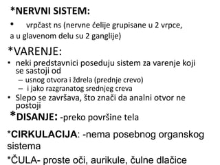 *VARENJE:
• neki predstavnici poseduju sistem za varenje koji
se sastoji od
– usnog otvora i ždrela (prednje crevo)
– i jako razgranatog srednjeg creva
• Slepo se završava, što znači da analni otvor ne
postoji
*NERVNI SISTEM:
• vrpčast ns (nervne ćelije grupisane u 2 vrpce,
a u glavenom delu su 2 ganglije)
*DISANJE: -preko površine tela
*CIRKULACIJA: -nema posebnog organskog
sistema
*ČULA- proste oči, aurikule, čulne dlačice
 