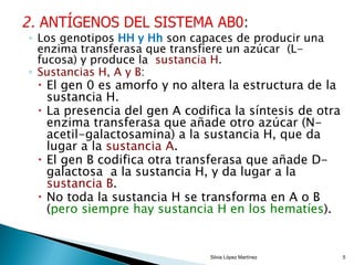 ◦ Los genotipos HH y Hh son capaces de producir una
enzima transferasa que transfiere un azúcar (L-
fucosa) y produce la sustancia H.
◦ Sustancias H, A y B:
 El gen 0 es amorfo y no altera la estructura de la
sustancia H.
 La presencia del gen A codifica la síntesis de otra
enzima transferasa que añade otro azúcar (N-
acetil-galactosamina) a la sustancia H, que da
lugar a la sustancia A.
 El gen B codifica otra transferasa que añade D-
galactosa a la sustancia H, y da lugar a la
sustancia B.
 No toda la sustancia H se transforma en A o B
(pero siempre hay sustancia H en los hematíes).
Silvia López Martínez 5
 
