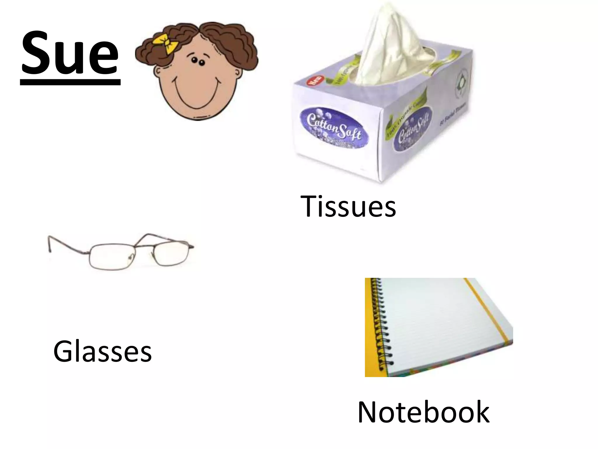Sue
Glasses
Tissues
Notebook