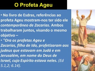 • No livro de Esdras, referências ao
profeta Ageu mostram-nos ter sido ele
contemporâneo de Zacarias. Ambos
trabalharam juntos, visando o mesmo
objetivo –
• "Ora os profetas Ageu e
Zacarias, filho de Ido, profetizaram aos
judeus que estavam em Judá e em
Jerusalém, em nome do Deus de
Israel, cujo Espírito estava neles. (Ed
5.1,2; 6.14).
O Profeta Ageu
 