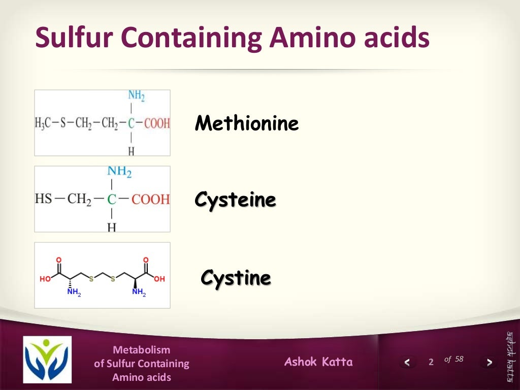 Metabolism of Sulfur Containing Amino Acids (Methionine, Cysteine, C…