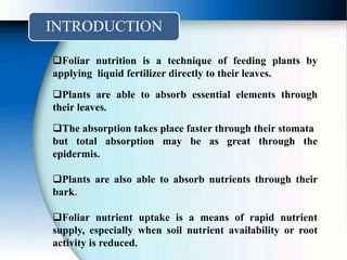 INTRODUCTION
Foliar nutrition is a technique of feeding plants by
applying liquid fertilizer directly to their leaves.
Plants are able to absorb essential elements through
their leaves.
The absorption takes place faster through their stomata
but total absorption may be as great through the
epidermis.
Plants are also able to absorb nutrients through their
bark.
Foliar nutrient uptake is a means of rapid nutrient
supply, especially when soil nutrient availability or root
activity is reduced.
 