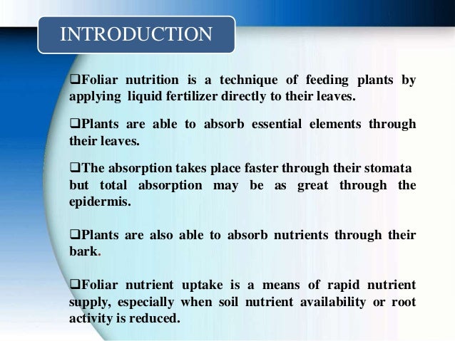 the importance of foliar fertilization Effect of foliar fertilizer on growth and yield of seven potato cultivars (solanum tuberosom l) foliar p application importance foliar fertilization has. the importance of foliar fertilization Effect of foliar fertilizer on growth and yield of seven potato cultivars (solanum tuberosom l) foliar p application importance foliar fertilization has.