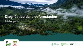 Arild Angelsen
Diagnóstico de la deforestación
 