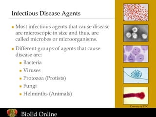 Infectious Disease Agents
 Most infectious agents that cause disease
are microscopic in size and thus, are
called microbe...