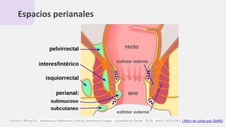 Espacios perianales
Kahai P, Bhimji SS . Anatomía, Abdomen y Pelvis, Intestino Grueso . Estadísticas Perlas . 2018 . pmid: 29261962. | Abrir en Leído por QxMD
 